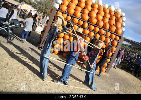 Herbst-Festival in Underwood Farms, Moorpark, Kalifornien, USA Stockfoto