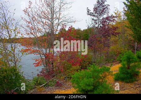 Wolkiger Tag im Audubon Plainsboro Naturschutzgebiet Wanderwege mit Herbstfärbung nähert sich ihrem Ende für die Saison -03 Stockfoto