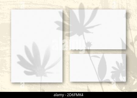Mehrere horizontale und vertikale Blätter aus weißem strukturiertem Papier vor einem gelben Wandhintergrund. Mockup mit einer Überlagerung von Pflanzenschatten. Natürlich Stockfoto