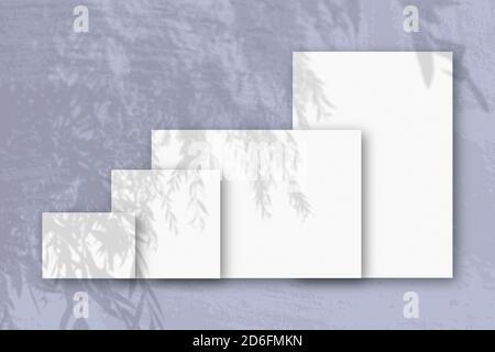 Mehrere horizontale und vertikale Blätter aus weißem strukturiertem Papier vor einem blauen Wandhintergrund. Mockup mit einer Überlagerung von Pflanzenschatten. Tageslicht Stockfoto