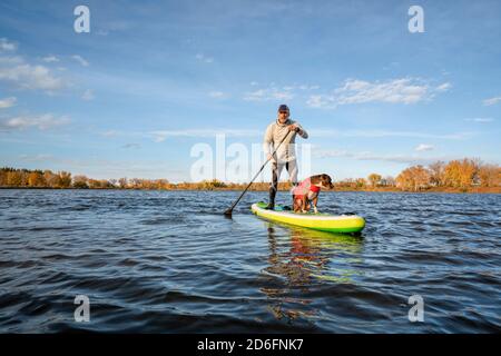 Älterer Rüde paddelt ein aufblasbares Stand-up-Paddleboard mit einem Pitbull-Hund auf dem See in Colorado, Herbstlandschaft Stockfoto