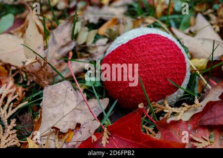 Ein rot-weißer Tennisball ist aus der Nähe zu sehen, wo er auf dem Boden liegt, umgeben von Grashalmen und herbstlichen Blättern. Stockfoto