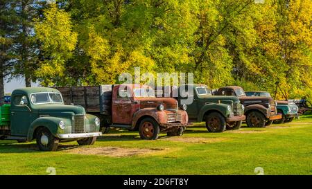 Oldtimer-Lastwagen im Thresherman's Museum bei Winkler, Manitoba, Kanada. Stockfoto