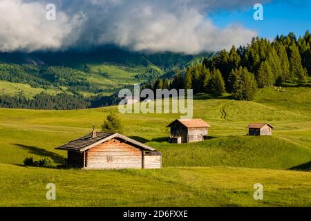 Hügelige Agrarlandschaft mit grünen Weiden, Bäumen und Holzhütten auf der Seiser Alm. Stockfoto