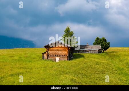 Hügelige Agrarlandschaft mit grünen Weiden, Bäumen und einer Holzhütte auf der Seiser Alm. Stockfoto