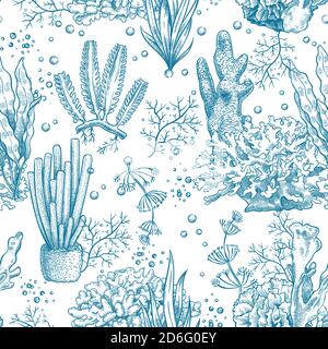Seegras Nahtloses Muster. Riff Wasserpflanzen und Korallen, Unterwasser Meer und Aquarium Leben nautische japanische, chinesische Skizze Vektor Textur Stock Vektor