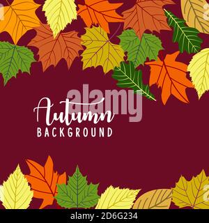 Hallo Herbst Hintergrund mit Herbstlaub. Natur herbstliche Vektor Konzept. Orange und gelb Blatt saisonale Abbildung Stock Vektor