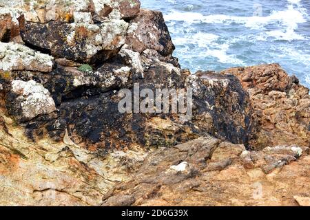 Steine mit Ölpest durch den Untergang des Öltankers MV Prestige im Jahr 2002. Costa da Morte Region 18 Jahre danach, Camariñas, Coruña, Galicien, Spanien. Stockfoto