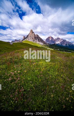 Gipfel des Berges La Gusella, am Giau Pass, Passo Giau, über grüne Weiden gesehen. Stockfoto