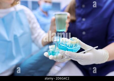 Zahnmedizin, Zahnbehandlung, Nahaufnahme Modell des Zahnkiefers Stockfoto
