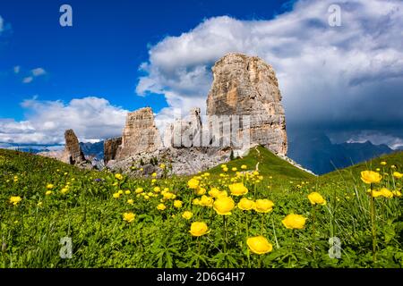 Die Felsformation Cinque Torri, Cinque Torri di Averau, umgeben von gelb blühenden Blumen. Stockfoto