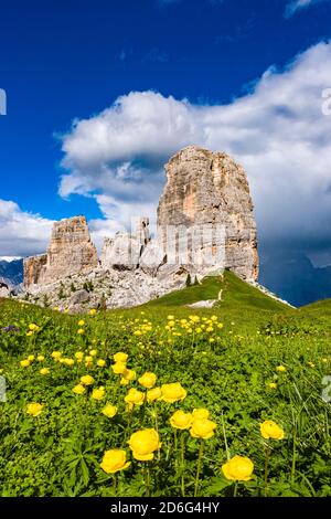 Die Felsformation Cinque Torri, Cinque Torri di Averau, umgeben von gelb blühenden Blumen. Stockfoto