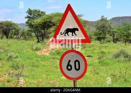 Ein Straßenschild mit einem Leoparden und einer Geschwindigkeitsbegrenzung von 60 im Okonjima Nature Reserve, Otjozondjupa, Namibia Stockfoto