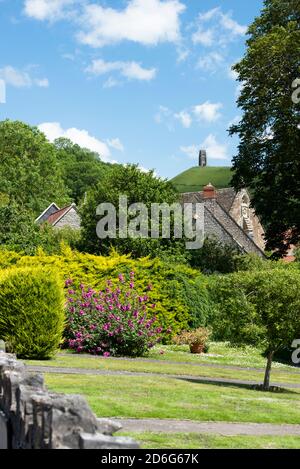 Steinspitze, Glastonbury Abbey Barn, Teil des Somerset Rural Life Museum. Glastonbury Tor erhebt sich im Hintergrund. Vertikal. Steinmauer im Vordergrund. Stockfoto