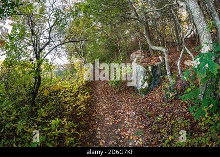 Fisheye Super Weitwinkel Blick auf Wanderweg durch den Wald im Herbst, Rocky Neck State Park, Niantic, East Lyme, Connecticut, Herbst, Oktober 2020 Stockfoto