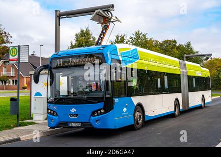 Elektrobus der Stadtwerke Münster, an einer Schnellladestation, Bushaltestelle, Buskraftstelle Dieckmannstraße in Münster Gievenbeck, 16 E-Busse Strom Stockfoto