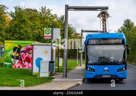 Elektrobus der Stadtwerke Münster, an einer Schnellladestation, Bushaltestelle, Buskraftstelle Dieckmannstraße in Münster Gievenbeck, 16 E-Busse Strom Stockfoto