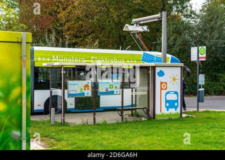 Elektrobus der Stadtwerke Münster, an einer Schnellladestation, Bushaltestelle, Buskraftstelle Dieckmannstraße in Münster Gievenbeck, 16 E-Busse Strom Stockfoto