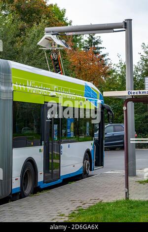 Elektrobus der Stadtwerke Münster, an einer Schnellladestation, Bushaltestelle, Buskraftstelle Dieckmannstraße in Münster Gievenbeck, 16 E-Busse Strom Stockfoto