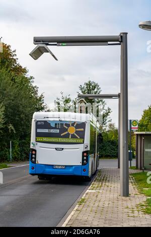 Elektrobus der Stadtwerke Münster, an einer Schnellladestation, Bushaltestelle, Buskraftstelle Dieckmannstraße in Münster Gievenbeck, 16 E-Busse Strom Stockfoto