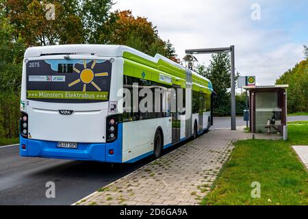 Elektrobus der Stadtwerke Münster, an einer Schnellladestation, Bushaltestelle, Buskraftstelle Dieckmannstraße in Münster Gievenbeck, 16 E-Busse Strom Stockfoto