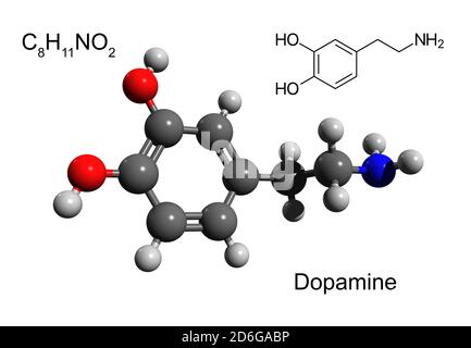 Chemische Formel, Strukturformel und 3D Ball-and-Stick-Modell eines Hormons und Neurotransmitters Dopamin, weißer Hintergrund Stockfoto