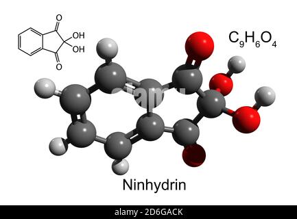 Chemische Formel, Strukturformel und 3D-Ball-and-Stick-Modell von Ninhydrin, eine Chemikalie verwendet, um Ammoniak oder primäre und sekundäre Amine zu erkennen Stockfoto