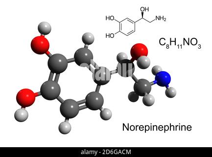 Chemische Formel, Strukturformel und 3D-Ball-and-Stick-Modell eines Hormons und Neurotransmitters Noradrenalin (Noradrenalin), weißer Hintergrund Stockfoto