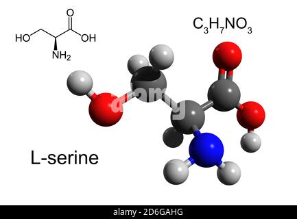 Chemische Formel, Strukturformel und 3D-Ball-and-Stick-Modell von L-Serin, eine essentielle Aminosäure, weißer Hintergrund Stockfoto