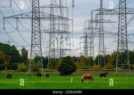 Hochspannungs-Leitungen, 380 KV-Leitungen, bei Marl, Umspannwerk Kusenhorst, Pferdeweide, NRW, Deutschland Stockfoto
