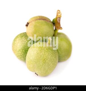 Grüne Walnuss, isoliert auf weißem Hintergrund. Geschälte Walnuss und Kerne. Walnüsse verzweigen. Stockfoto