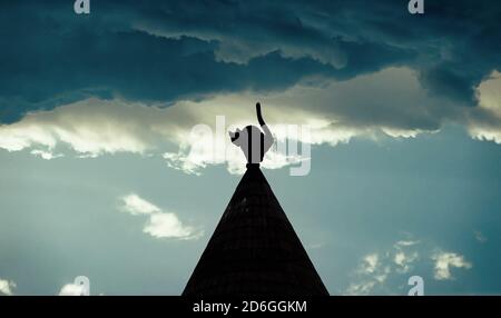 Silhouette einer Katze auf dem Dach des Gebäudes. Detail des Katzenhauses im Zentrum von Riga, Lettland. Stockfoto