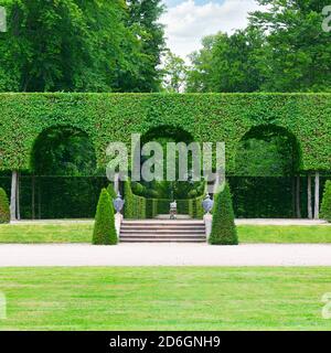 Allee im park Stockfoto