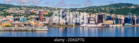 WELLINGTON, NEUSEELAND - 25. Feb 2020: Erhöhte Ansicht von Stadtgebäuden und Hafen an einem klaren Sommermorgen gesehen vom Mount Victoria. Wir Stockfoto