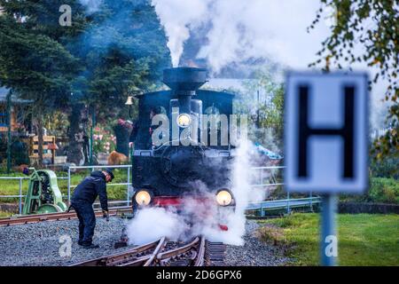 Klutz, Mecklenberg, Deutschland. Oktober 2020. Im Regen wird die 102 Jahre alte Brigade-Lokomotive auf ihre erste Fahrt am Bahnhof vorbereitet. Bis 19.10.2020 wird die Lokomotive den Personenzug auf der Kaffebrenner-Linie ziehen. Am Ende der Saison fährt mit dem Touristenzug mit Spurweite 600 Millimeter eine historische Dampflokomotive auf der Strecke. Auf der nur sechs Kilometer langen Strecke zwischen Klütz und Reppenhagen fährt der Zug mit 20 Stundenkilometern. Die Bahnstrecke im Nordwesten Mecklenburgs wurde am 06.06 eröffnet. Quelle: dpa picture Alliance/Alamy Live News Stockfoto