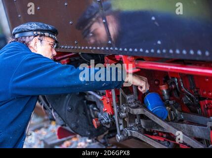 Klutz, Mecklenberg, Deutschland. Oktober 2020. Im Regen wird die 102 Jahre alte Brigade-Lokomotive auf ihre erste Fahrt am Bahnhof vorbereitet. Bis 19.10.2020 wird die Lokomotive den Personenzug auf der Kaffebrenner-Linie ziehen. Am Ende der Saison fährt mit dem Touristenzug mit Spurweite 600 Millimeter eine historische Dampflokomotive auf der Strecke. Auf der nur sechs Kilometer langen Strecke zwischen Klütz und Reppenhagen fährt der Zug mit 20 Stundenkilometern. Die Bahnstrecke im Nordwesten Mecklenburgs wurde am 06.06 eröffnet. Quelle: dpa picture Alliance/Alamy Live News Stockfoto