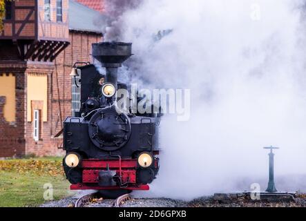 Klutz, Mecklenberg, Deutschland. Oktober 2020. Eine 102 Jahre alte Brigade-Lokomotive zieht einen Personenzug vom Bahnhof auf die Linie der Kaffeebrenner. Am Ende der Saison fährt mit dem Touristenzug mit Spurweite 600 Millimeter eine historische Dampflokomotive auf der Strecke. Auf der nur sechs Kilometer langen Strecke zwischen Klütz und Reppenhagen fährt der Zug mit 20 Stundenkilometern. Die Bahnstrecke im Nordwesten Mecklenburgs wurde am 06.06 eröffnet. Quelle: dpa picture Alliance/Alamy Live News Stockfoto