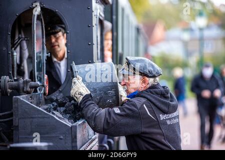 Klutz, Mecklenberg, Deutschland. Oktober 2020. Peter Bauchwitz von der Parkeisenbahn Wuhlheide in Berlin füllt die 102 Jahre alte Brigade-Lokomotive vor der Abfahrt mit Kohle. Die Lokomotive zieht einen Personenzug auf der Kaffebrenner-Linie. Am Ende der Saison fährt mit dem Touristenzug mit Spurweite 600 Millimeter eine historische Dampflokomotive auf der Strecke. Auf der nur sechs Kilometer langen Strecke zwischen Klütz und Reppenhagen erreicht der Zug 20 Stundenkilometer. Die Bahnstrecke im Nordwesten Mecklenburgs wurde am 06.06 eröffnet. Kredit: dpa pict Stockfoto