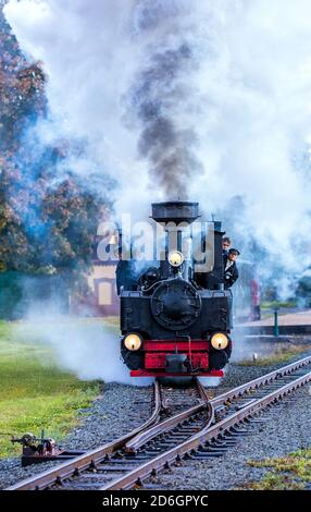 Klutz, Mecklenberg, Deutschland. Oktober 2020. Eine 102 Jahre alte Brigade-Lokomotive zieht einen Personenzug vom Bahnhof auf die Linie der Kaffeebrenner. Am Ende der Saison fährt mit dem Touristenzug mit Spurweite 600 Millimeter eine historische Dampflokomotive auf der Strecke. Auf der nur sechs Kilometer langen Strecke zwischen Klütz und Reppenhagen fährt der Zug mit 20 Stundenkilometern. Die Bahnstrecke im Nordwesten Mecklenburgs wurde am 06.06 eröffnet. Quelle: dpa picture Alliance/Alamy Live News Stockfoto