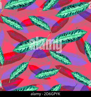 Maranta gestreift grün und lila Blätter, handbemalt Aquarell Illustration nahtlose Muster-Design auf rosa Hintergrund Stockfoto