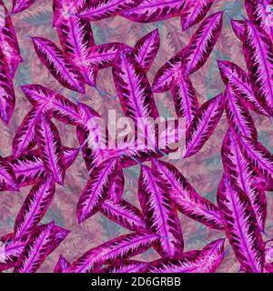 Maranta lila gestreifte Blätter, handbemalt Aquarell Illustration nahtlose Muster-Design auf Blätter Textur Hintergrund Stockfoto