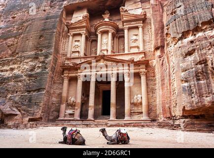 Zwei Kamele, Sättel bereit für Touristen, sitzen vor Al-Khazneh Schatzkammer Tempel - Hauptattraktion in Lost City von Petra Stockfoto