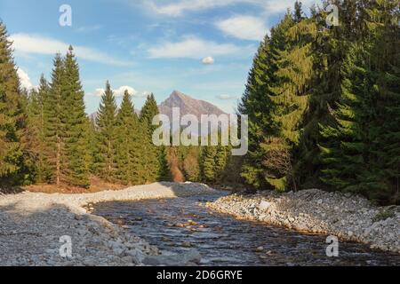 Waldfluss Bela mit kleinen runden Steinen und Nadelbäumen auf beiden Seiten, sonniger Tag, Krivan Gipfel - slowakisches Symbol - in der Ferne Stockfoto