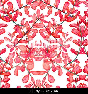 Dorniger Berberis vulgaris (häufig, europäisch oder einfach nur Berberbeere), Zweig mit roten Blättern, isolierte handbemalte Aquarell-Illustration, nahtloses Muster Stockfoto