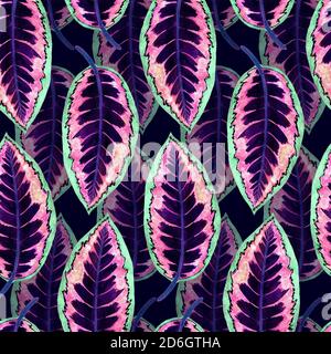 Maranta gestreifte bunte Blätter, handbemalt Aquarell Illustration nahtlose Muster-Design auf dunklem Hintergrund Stockfoto