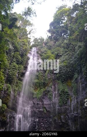 Wundervoller Regenwald Tropis Central java ungaran Mount indonesia Stockfoto