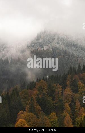 Herbst wird Winter in Oberstaufen, Deutschland Stockfoto