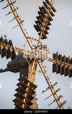 Stare sitzen auf einem Windrad Stockfoto