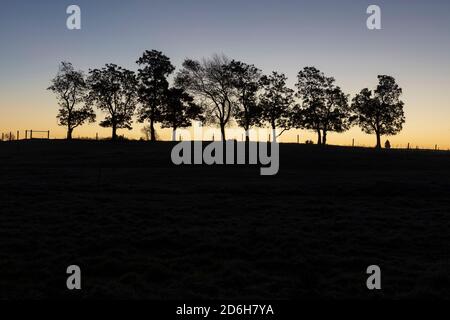 Morgendämmerung, vor Sonnenaufgang, Spätherbst, Indiana, USA, von James D. Coppinger/Dembinsky Photo Assoc Stockfoto