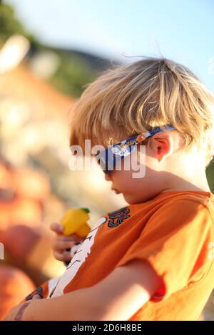 Herbst-Festival in Underwood Farms, Moorpark, Kalifornien, USA Stockfoto